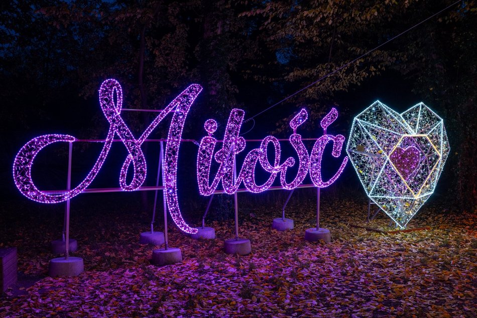 Park Miliona Świateł w Łodzi otwarty! Magiczne zwierzęta opanowały Orientarium Zoo Łódź