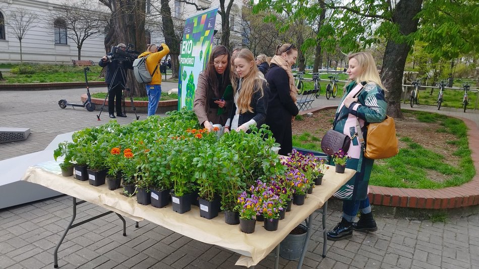 Ekologiczne warsztaty i rozdawanie sadzonek w pasażu Rubinsteina