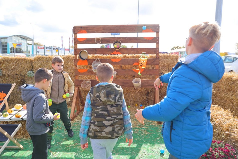 Farma Dyniowa w Pasażu Łódzkim