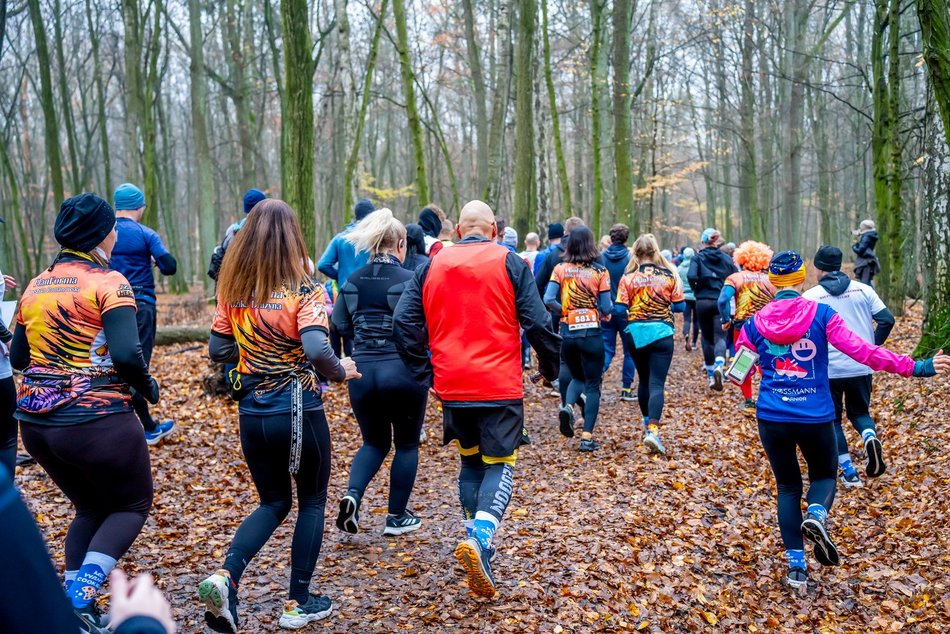 Cookie Run w Lesie Łagiewnickim w Łodzi