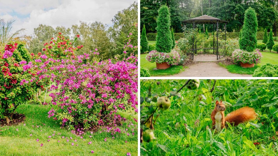 Łódź. Jesień w Ogrodzie Botanicznym w Łodzi. Tam z pewnością pokochasz tę porę roku!