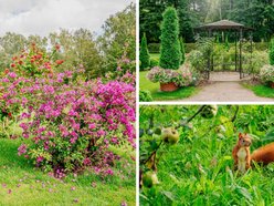 Łódź. Jesień w Ogrodzie Botanicznym w Łodzi. Tam z pewnością pokochasz tę porę roku!