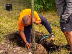 Wojska Polskiego w Łodzi jeszcze bardziej zielona! Przybyło 300 nowych drzew