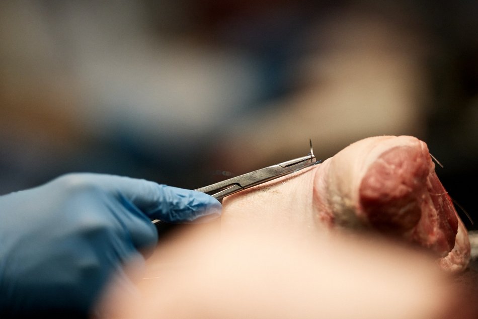 Łódź. Rekordowy UMED! W Łodzi pobito rekord Polski w jednoczesnym szyciu chirurgicznym