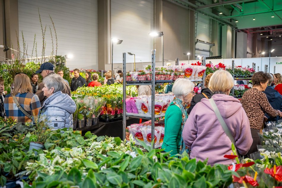 Łódź. World Flower Show w hali Expo Łódź. Przyjdź i zobacz orchidee, drzewa bonsai i sukulenty