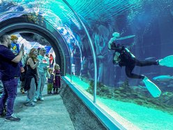 Za darmo z Kartą Łodzianina do Orientarium Zoo Łódź, Aquaparku Fala i EC1 Łódź