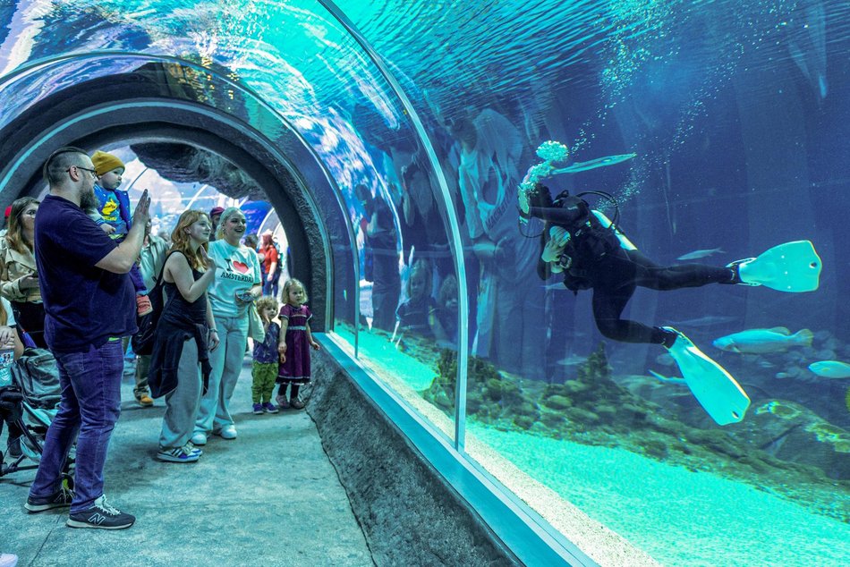 Za darmo z Kartą Łodzianina do Orientarium Zoo Łódź, Aquaparku Fala i EC1 Łódź