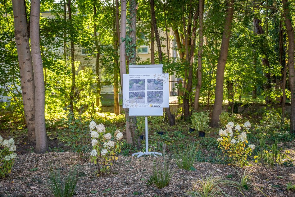 Będzie nowy skwer przy ulicy Zuchów w Łodzi. Zapomniany teren odżyje!