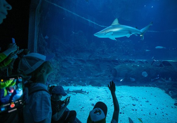 Orientarium Zoo Łódź