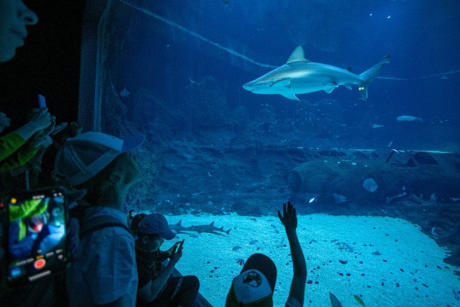 Orientarium Zoo Łódź