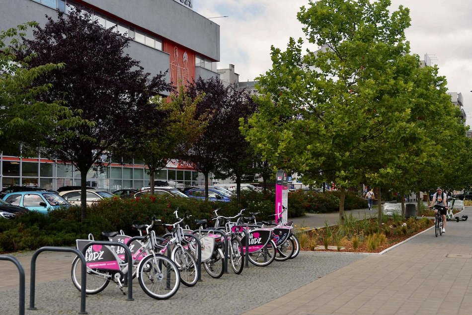 Łódź. Stajnia Jednorożców w Łodzi cała na zielono! Zamiast betonu ponad 500 mkw roślin