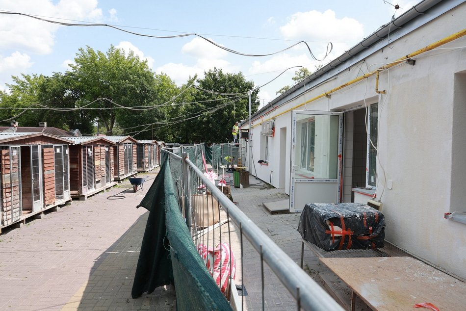 Wielki remont w schronisku w Łodzi dobiega końca