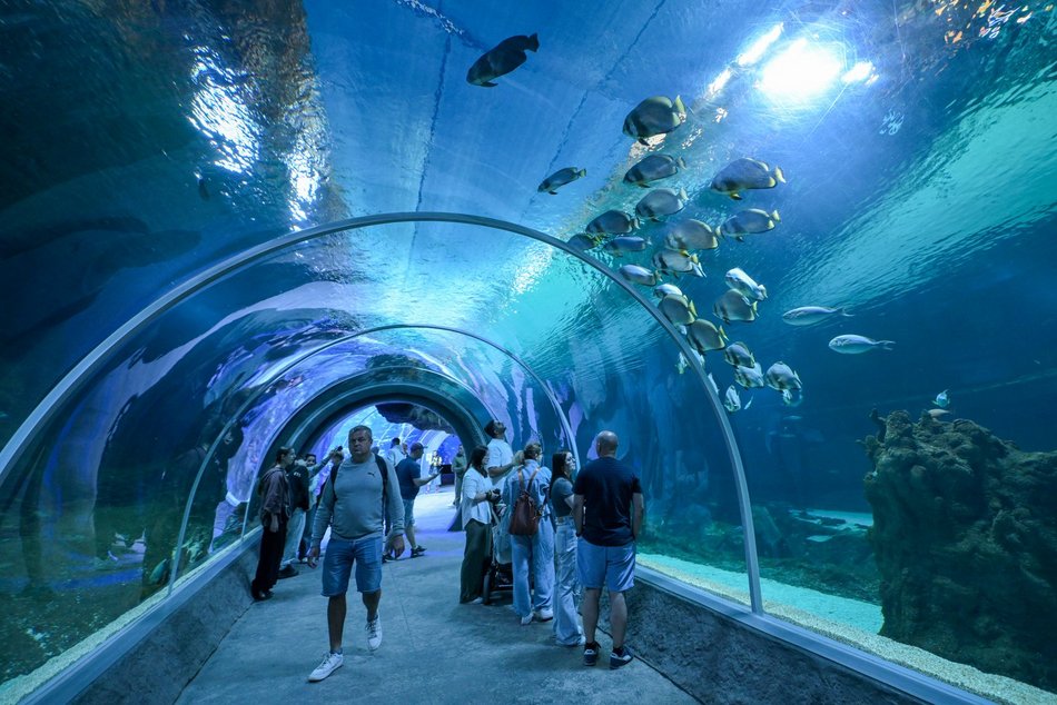 Co robić w Święta w Łodzi