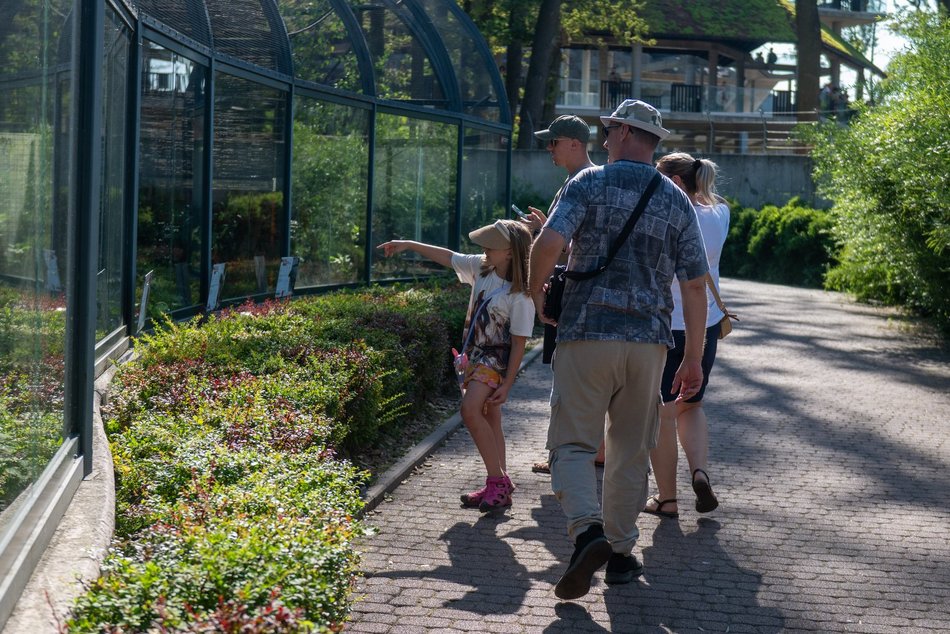 Łódź. Zielona Feta w Orientarium Zoo Łódź. Moc atrakcji na długi weekend