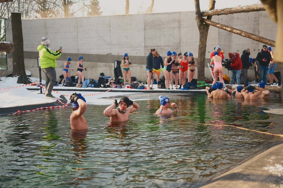 Łódź. Miłośnicy zimnych kąpieli w Orientarium Zoo Łódź