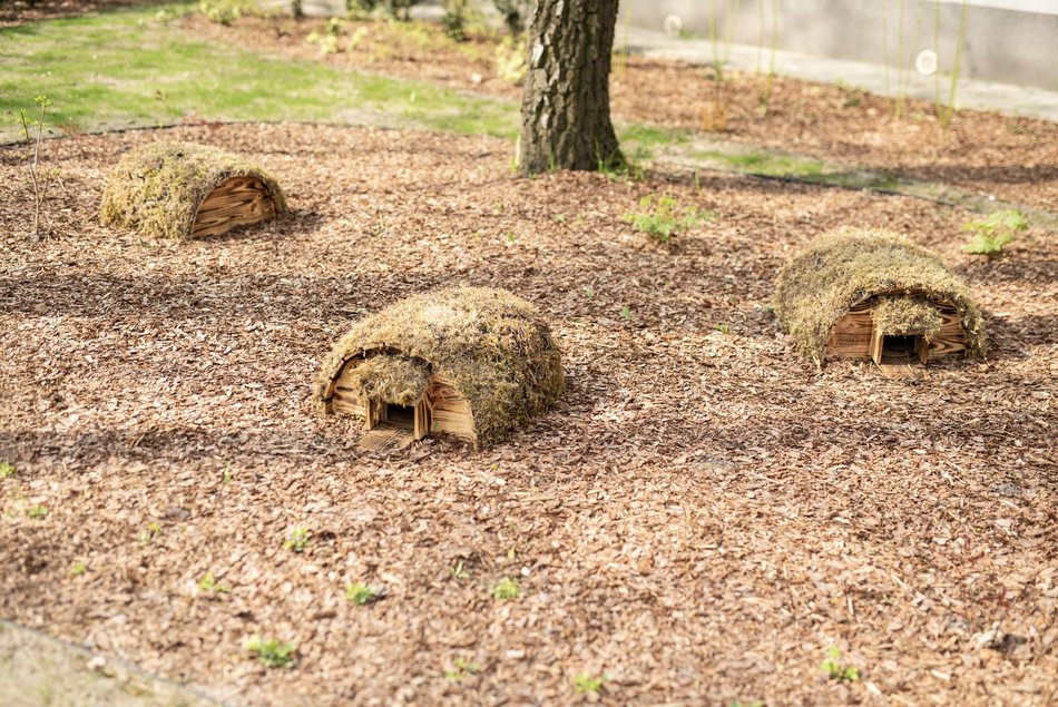 IX LO w Łodzi - fotowoltaika, ekologiczny ogródek i pompa ciepła