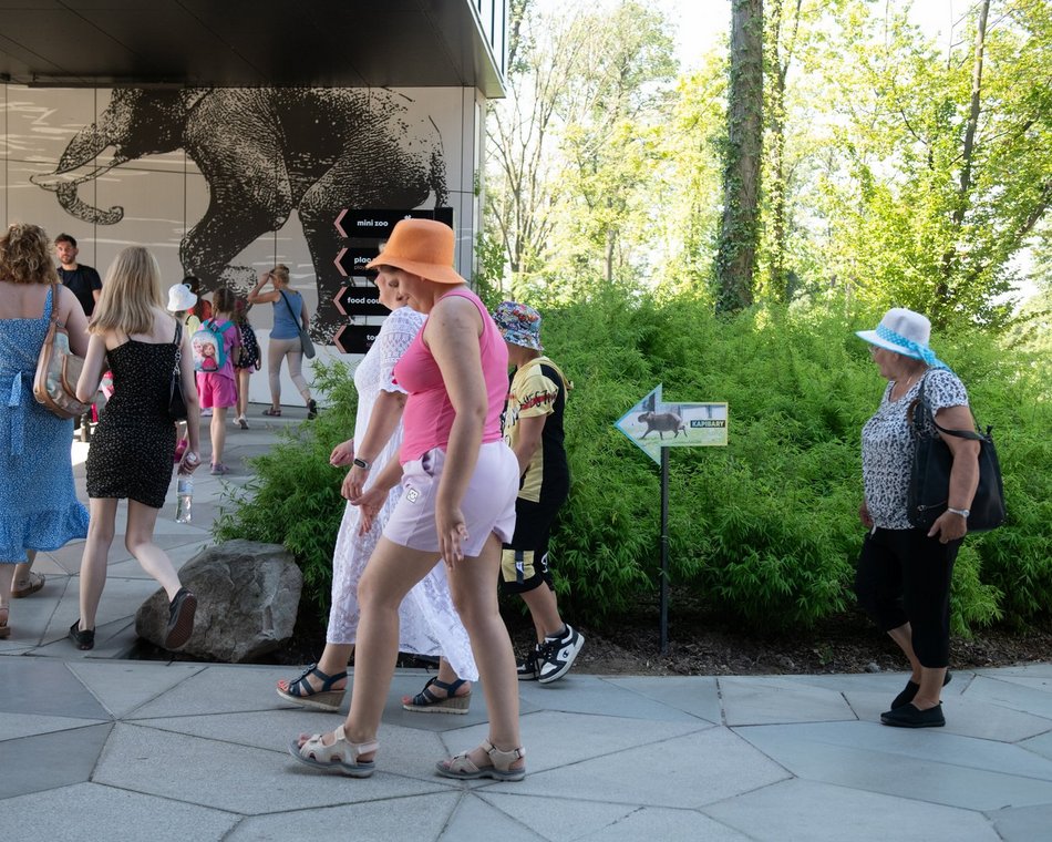 Dzień Kapibary w Orientarium Zoo Łódź