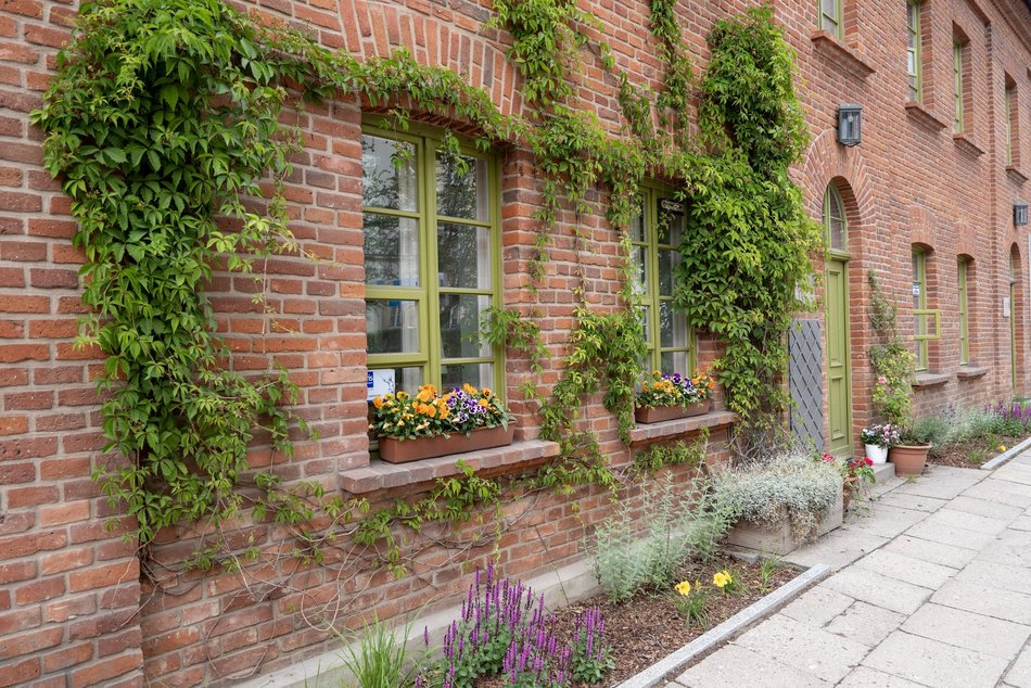 Ogrody fasadowe na Księżym Młynie przy ul. Przędzalnianej