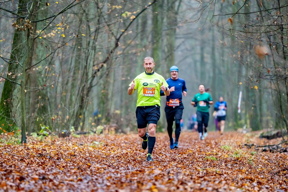 Cookie Run w Lesie Łagiewnickim w Łodzi