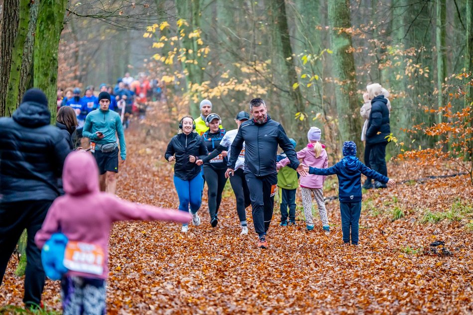 Cookie Run w Lesie Łagiewnickim w Łodzi