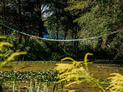 Łódź. Wiewiórki w Łodzi przygotowują się na zimę. Sprawdź, jak im w tym pomóc