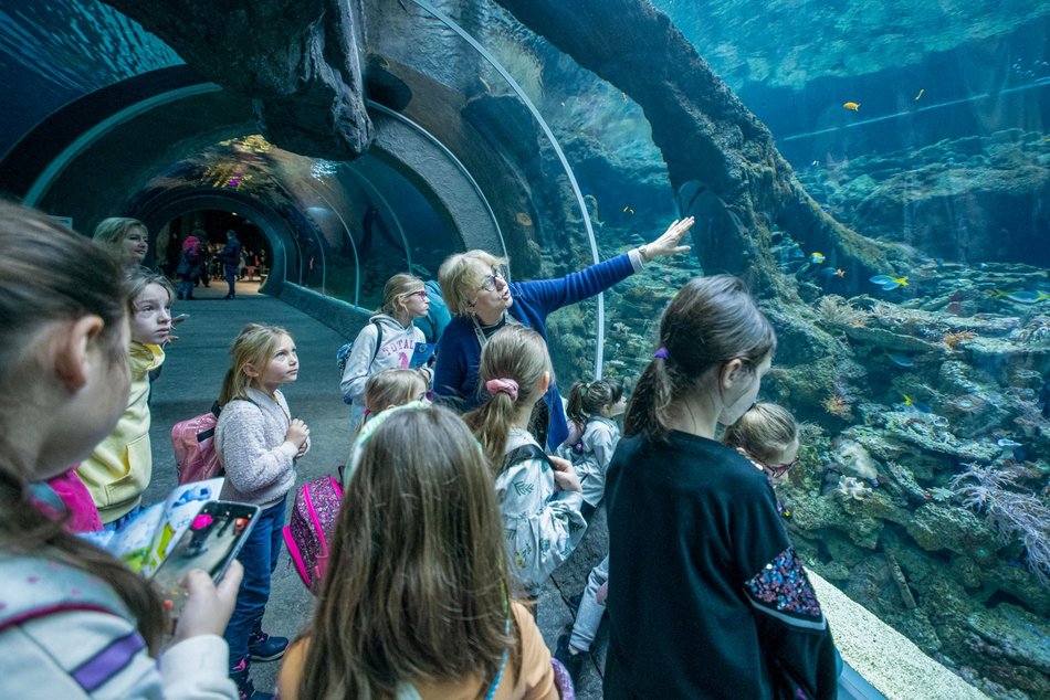 Łódź. Orientarium Zoo Łódź z masą atrakcji na ferie zimowe 2026 w Łodzi! Pokazy karmienia, edukacja i więcej