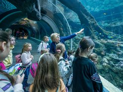 Łódź. Orientarium Zoo Łódź z masą atrakcji na ferie zimowe 2026 w Łodzi! Pokazy karmienia, edukacja i więcej