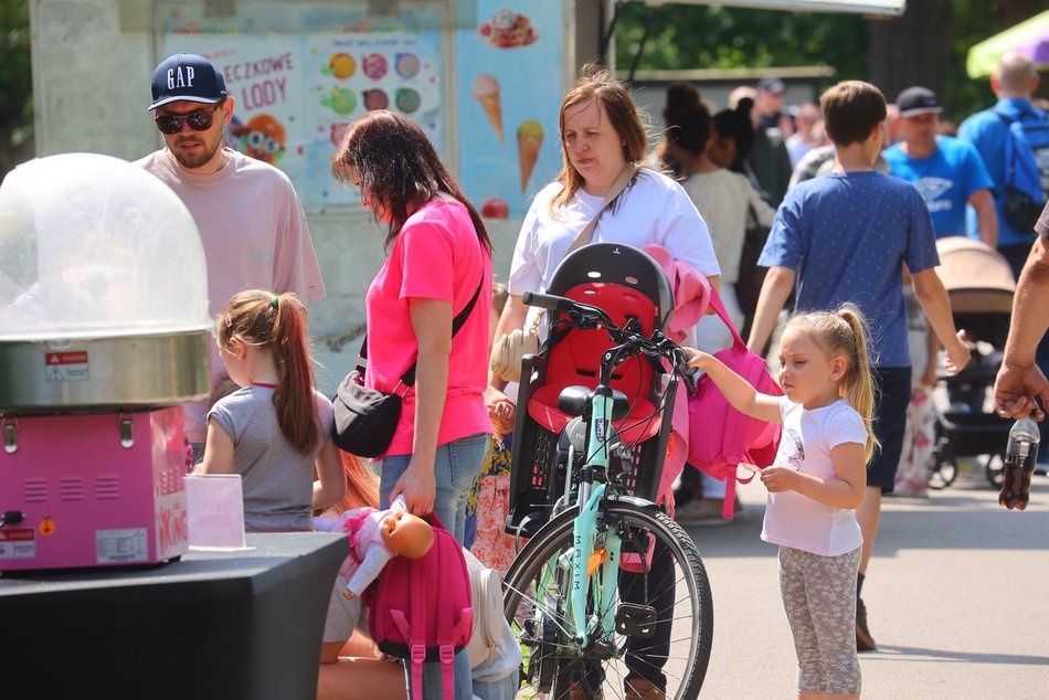 Łódź. Piknik na Młynku w Łodzi. Dmuchańce, alpaki, gigantyczne kręgle i rowery wodne