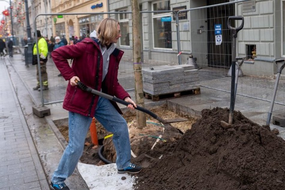 Łódź. Drzewa na Piotrkowskiej w Łodzi posadzone! Łodzianie uczestniczyli w imprezie
