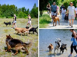 Łódź. Psiejski spacer na Uroczysku Lublinek w Łodzi. Kolejna odsłona wyjątkowej inicjatywy