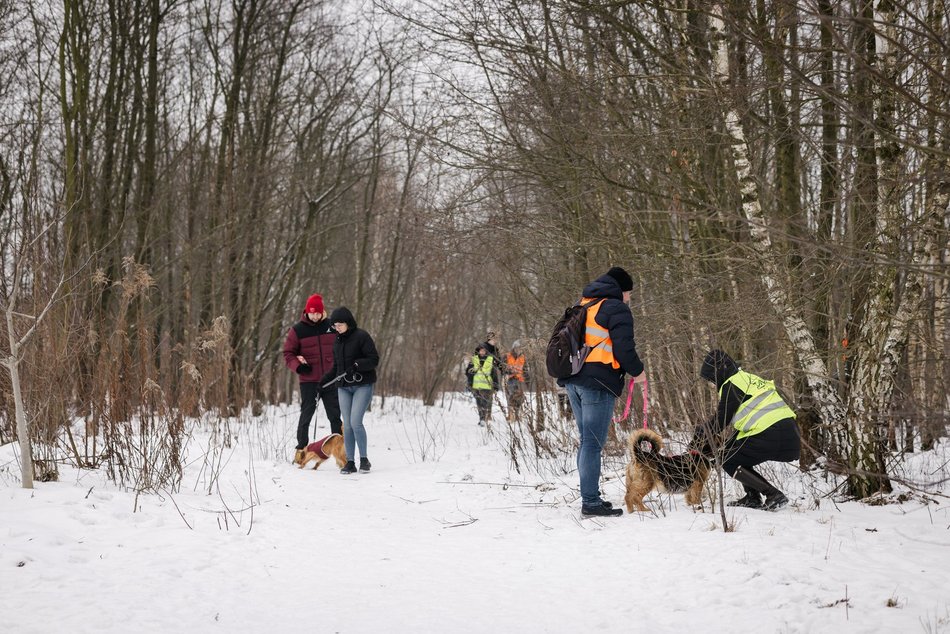 Łódź. Psy ze schroniska w Łodzi znów na spacerze! Dla tych wesołych pyszczków aż chce się chodzić!