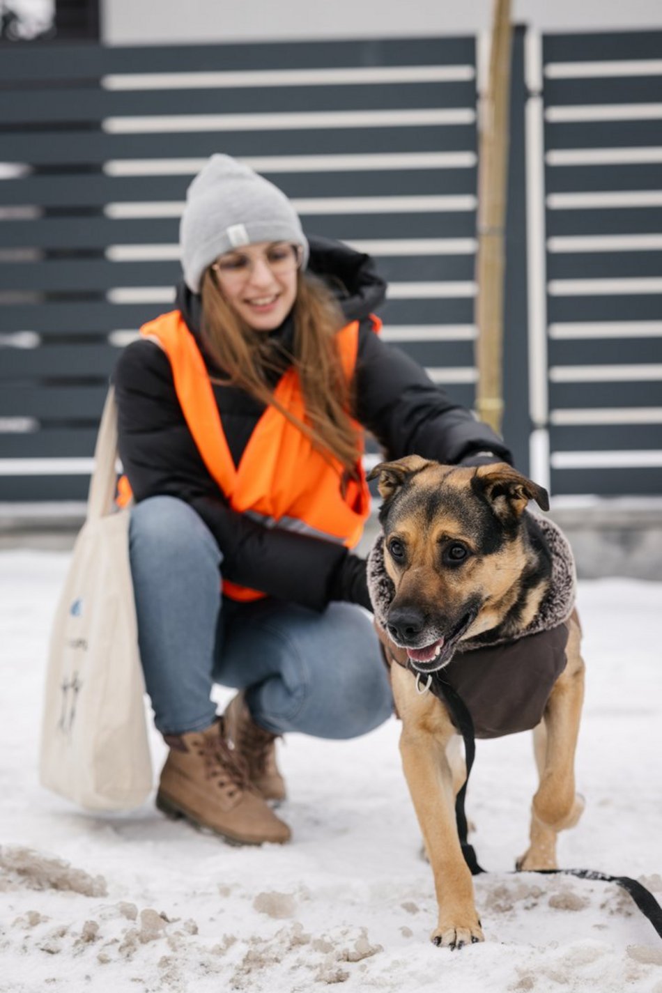 Łódź. Psy ze schroniska w Łodzi znów na spacerze! Dla tych wesołych pyszczków aż chce się chodzić!