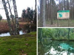 Łódź. Parki Krajobrazowe w Łódzkiem. Czy wiedziałeś, że jest ich aż 7?