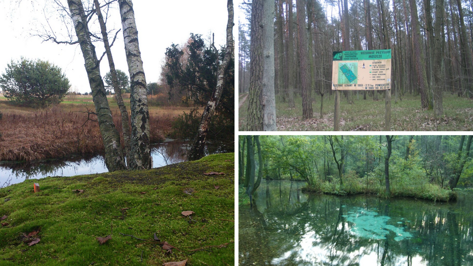 Łódź. Parki Krajobrazowe w Łódzkiem. Czy wiedziałeś, że jest ich aż 7?