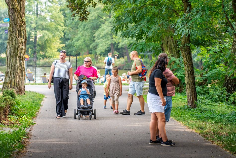 Piknik w parku na Młynku
