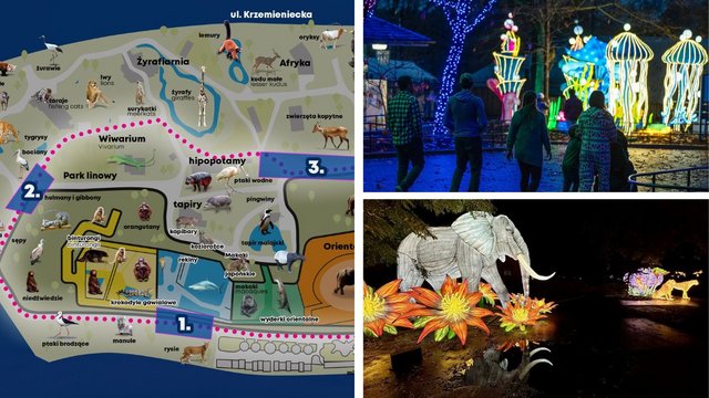 Trasa Parku Miliona Świateł przy Orientarium Zoo Łódź. Jest mapa! [MAPA]