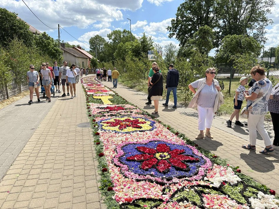 Łódź. Boże Ciało w Łódzkiem. Kwiatowe dywany w Spycimierzu