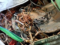 Łódź została Polską Stolicą Recyklingu 2025