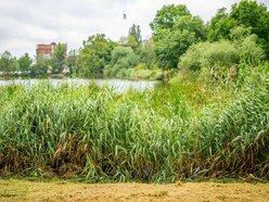 Łódź. Rewolucja przy Przędzalnianej w Łodzi. Zielona plaża, plac zabaw i pętla biegowa nad Jasieniem