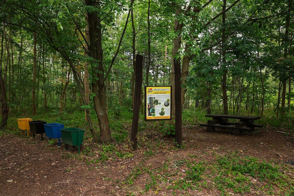 Łódź. Nowy park leśny w Łodzi! Mieszkańcy Dorabialskiej zyskali zieloną oazę!