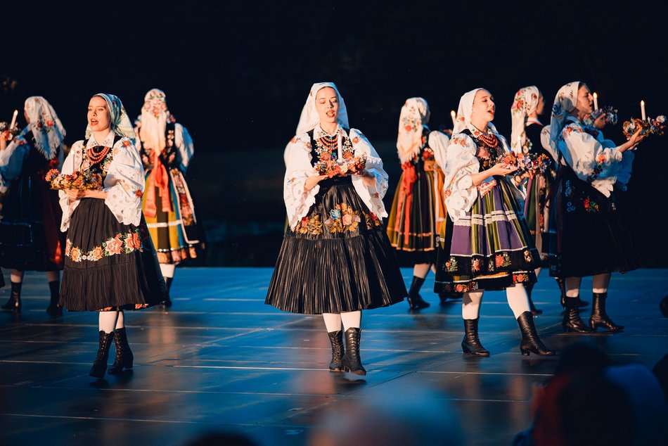 Łódź. Noc Świętojańska w Ogrodzie Botanicznym w Łodzi. Magia światła, natury i folkloru
