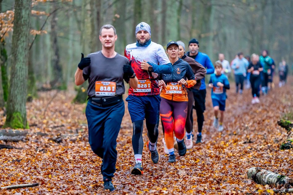 Cookie Run w Lesie Łagiewnickim w Łodzi