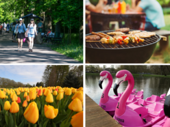 Majówka w Łodzi - tulipany w Ogrodzie Botanicznym w Łodzi, grill, rowery wodne flamingi na Młynku, park Julianowski