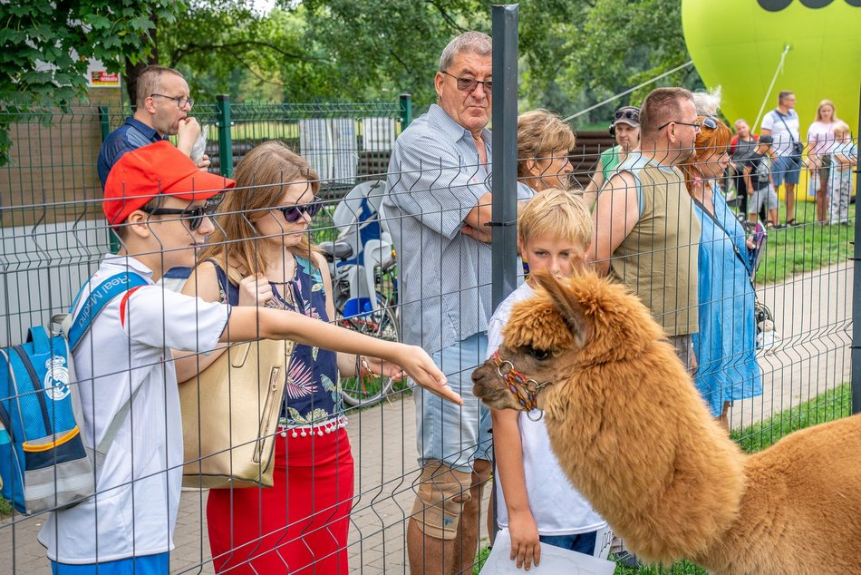 Piknik rodzinny na Stawach Jana