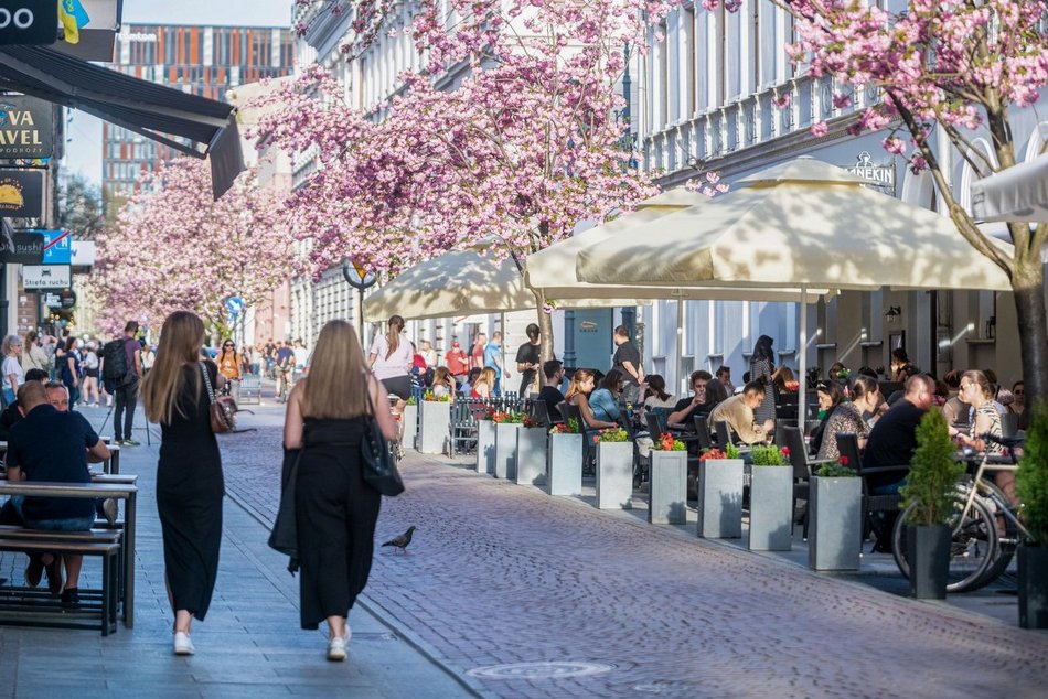 TOP 13 projektu Budżetu Obywatelskiego Łódź