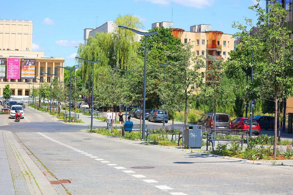 Łódź. Knychalskiego w Łodzi cała w zieleni! Nowe drzewa, kwiaty i rabaty