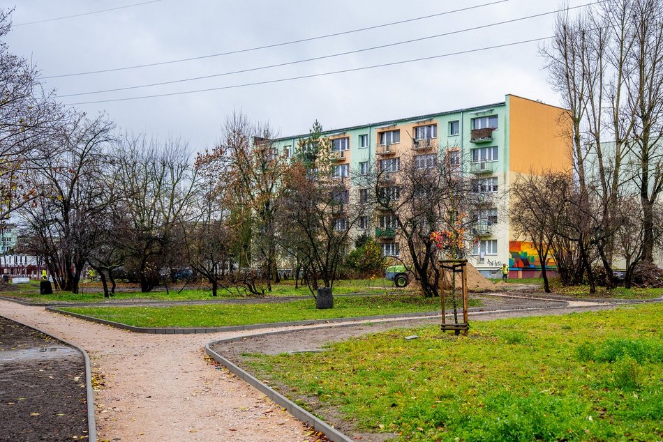 Zazieleni się na Retkini w Łodzi. Będą drzewa liściaste, krzewy i nowoczesny plac zabaw