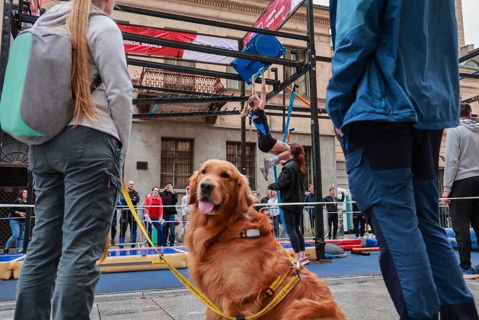 Łódź. Ninja Series w Łodzi. Wspaniała rywalizacja w strugach deszczu