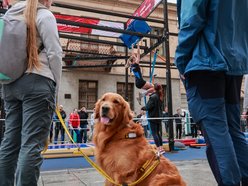 Łódź. Ninja Series w Łodzi. Wspaniała rywalizacja w strugach deszczu