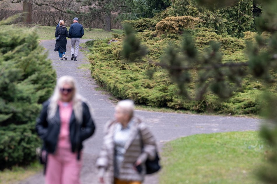 Wiosenny Ogród Botaniczny w Łodzi. Spacer wśród budzącej się do życia przyrody